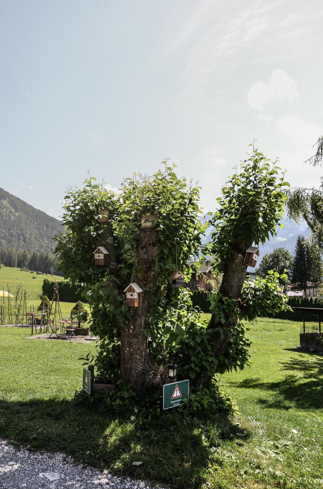 Hotel Ehrwalderhof Εξωτερικό φωτογραφία